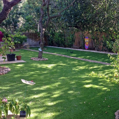 Synthetic Turf Weed, New Mexico Lawn And Landscape, Backyard Garden Ideas