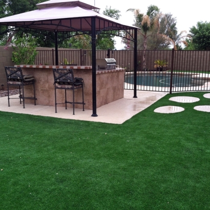 Turf Grass Galisteo, New Mexico Roof Top, Backyard Designs