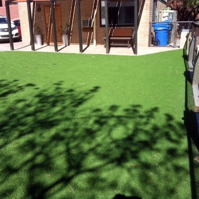 Turf Grass Grady, New Mexico Landscape Design, Small Backyard Ideas