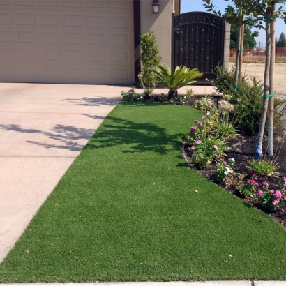 Turf Grass Luna, New Mexico Lawn And Landscape, Front Yard Landscaping