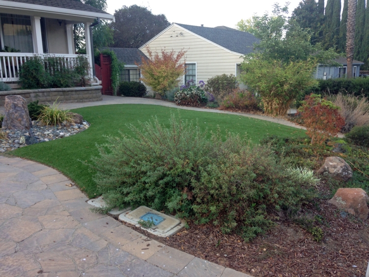 Artificial Grass Arroyo Seco, New Mexico Landscaping Business, Front Yard Landscape Ideas