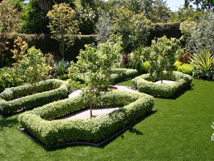 Artificial Grass Carpet Causey, New Mexico City Landscape