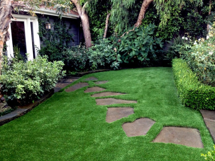 Artificial Grass Carpet Chamisal, New Mexico Lawn And Landscape, Backyard Landscape Ideas