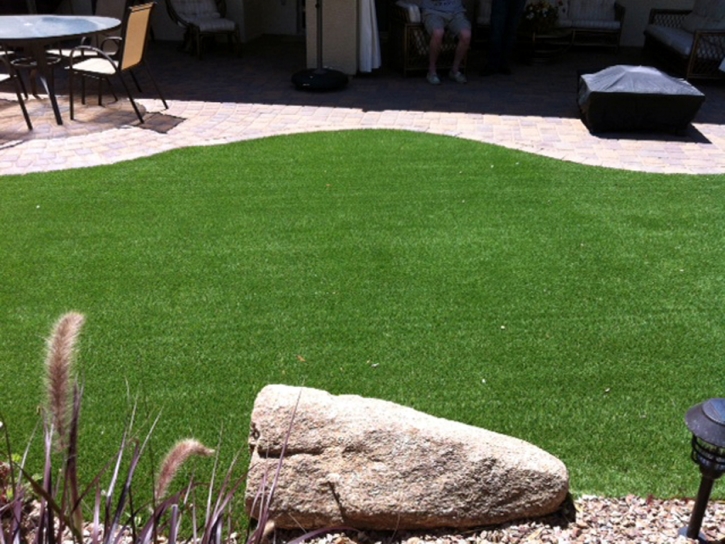 Artificial Grass Carpet Eagle Nest, New Mexico Dog Park, Backyard Landscaping