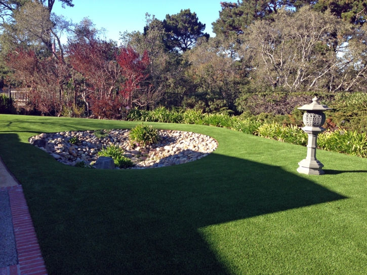 Artificial Grass Carpet Edgewood, New Mexico Design Ideas, Backyard Makeover