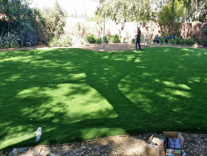 Artificial Grass Carpet South Valley, New Mexico Lawn And Garden, Small Backyard Ideas