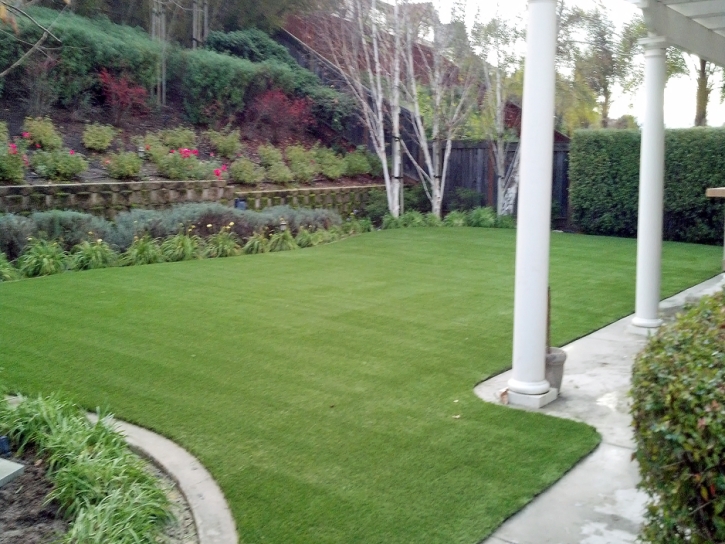 Artificial Grass Carpet Upper Fruitland, New Mexico Artificial Grass For Dogs, Beautiful Backyards