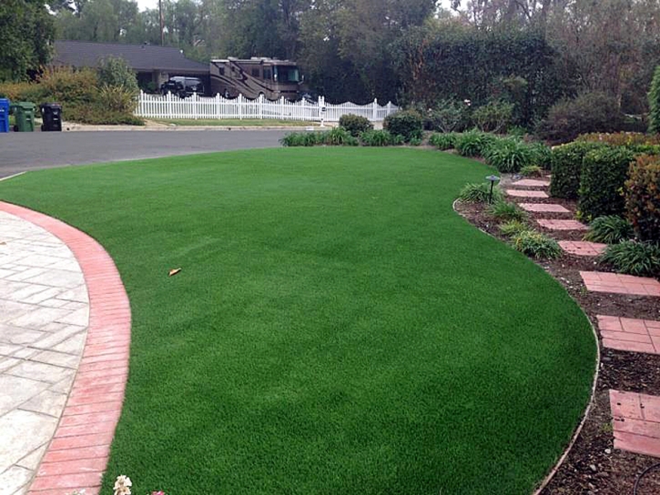 Artificial Grass Carpet Ute Park, New Mexico Design Ideas, Front Yard Landscape Ideas