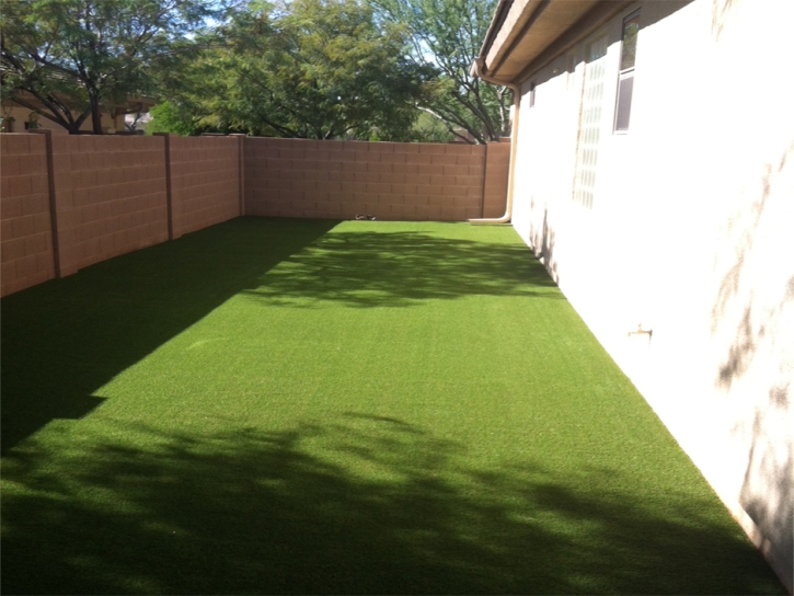 Artificial Grass Carpet Willard, New Mexico Landscape Photos, Backyard Landscaping