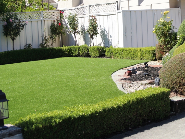 Artificial Grass Cedar Grove, New Mexico Design Ideas, Small Front Yard Landscaping