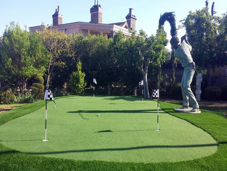 Artificial Grass Clayton, New Mexico City Landscape, Backyard Makeover