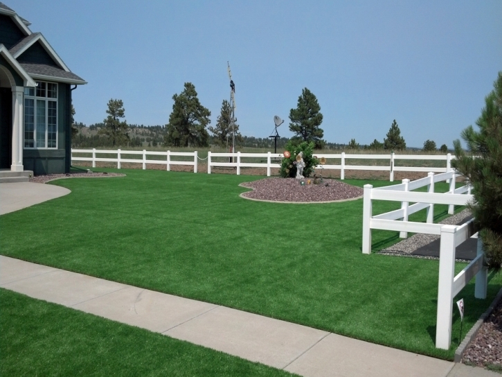 Artificial Grass Garfield, New Mexico Landscape Rock, Backyard Ideas