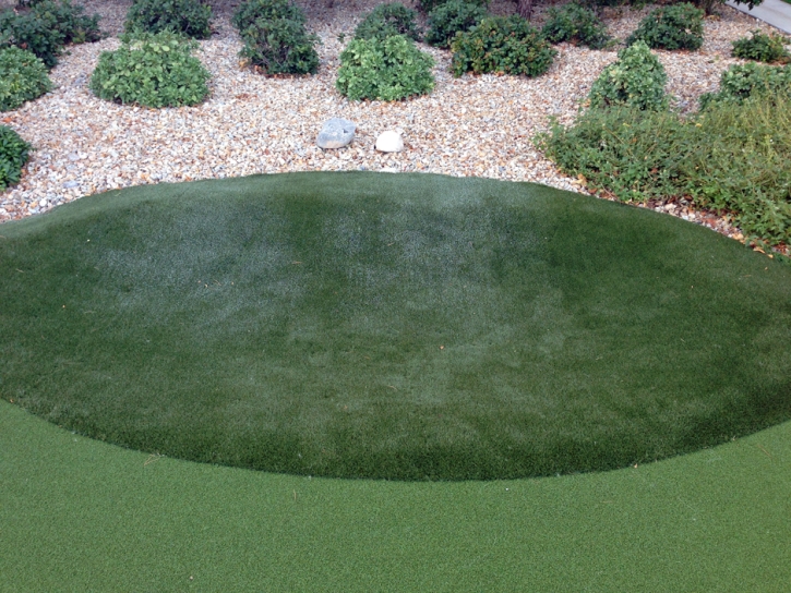 Artificial Grass Lamy, New Mexico Putting Green Flags