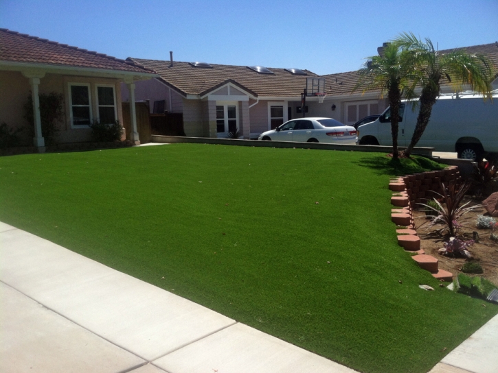 Artificial Grass Picuris Pueblo, New Mexico Lawns, Landscaping Ideas For Front Yard