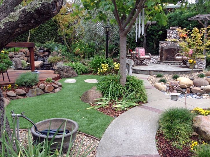 Artificial Grass Pueblo Pintado, New Mexico Lawns, Backyard Garden Ideas