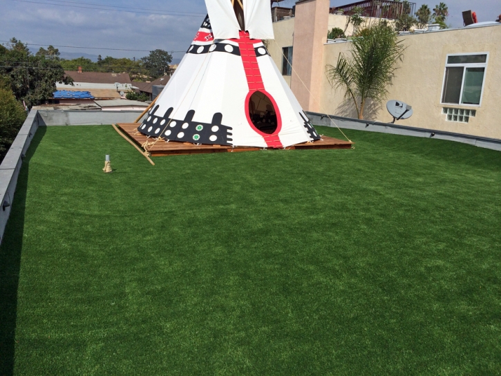 Artificial Grass San Ildefonso Pueblo, New Mexico Landscaping Business, Patio