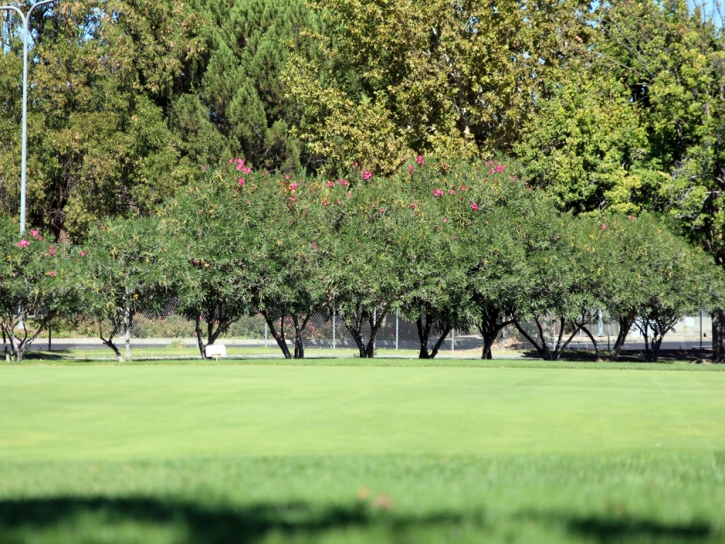 Artificial Grass Sandia Heights, New Mexico Artificial Putting Greens