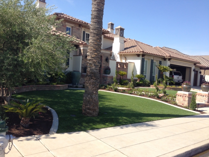 Artificial Grass Talpa, New Mexico Roof Top, Front Yard Landscaping