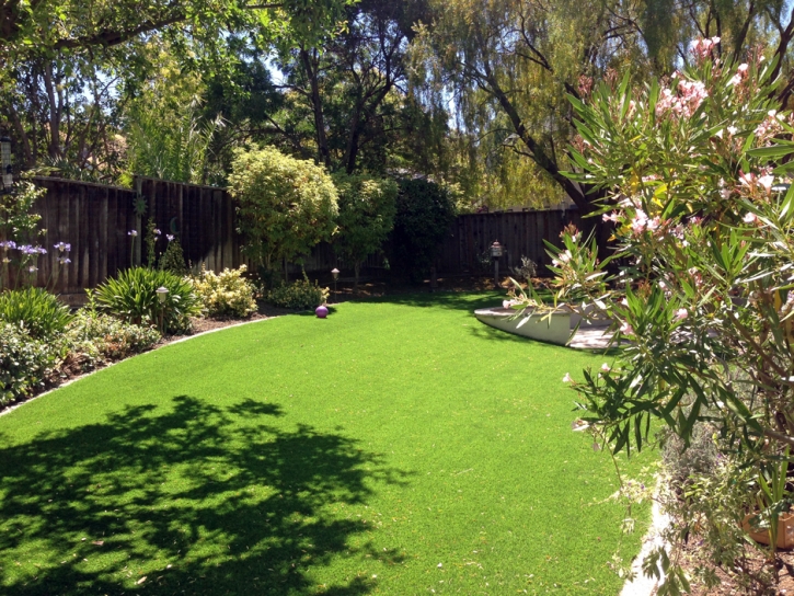 Artificial Grass Torreon, New Mexico Landscaping Business, Backyard Ideas