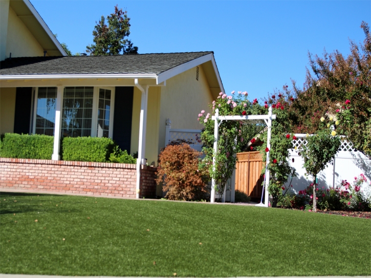 Artificial Lawn Animas, New Mexico Lawns, Small Front Yard Landscaping