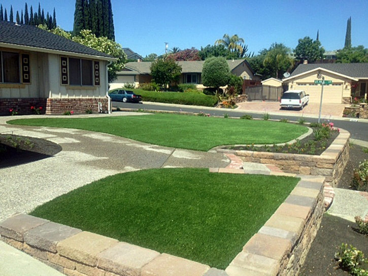 Artificial Lawn Coyote, New Mexico Garden Ideas