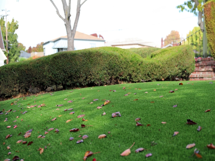 Artificial Lawn San Cristobal, New Mexico Roof Top, Front Yard