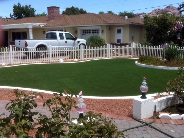 Artificial Lawn San Juan, New Mexico Roof Top, Front Yard Landscaping Ideas