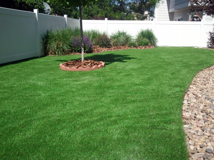 Artificial Turf Cost Adelino, New Mexico Backyard Playground, Backyard