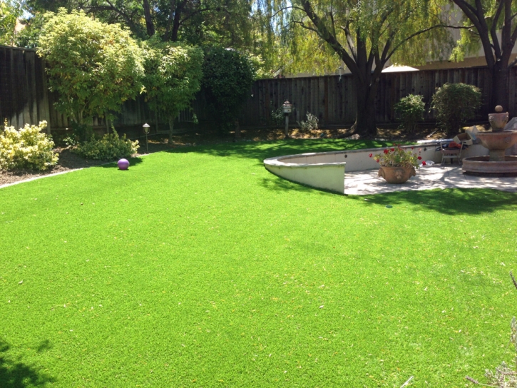 Artificial Turf Cost Alamillo, New Mexico Paver Patio, Beautiful Backyards