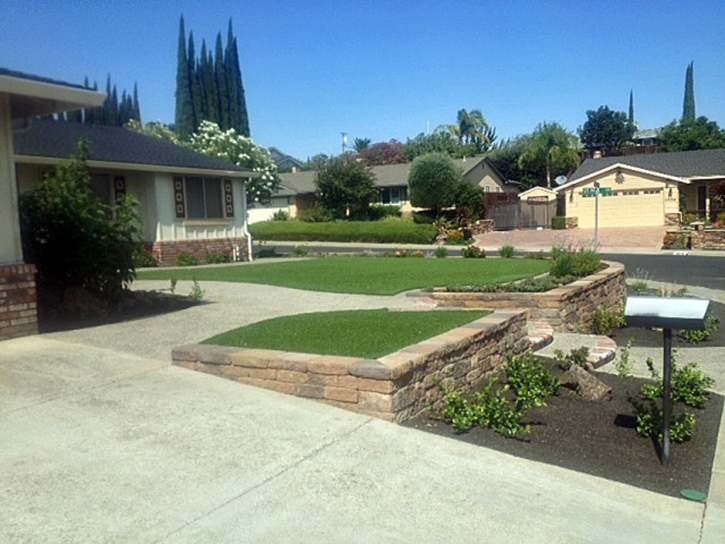 Artificial Turf Cost Alamo, New Mexico Gardeners, Front Yard Landscape Ideas