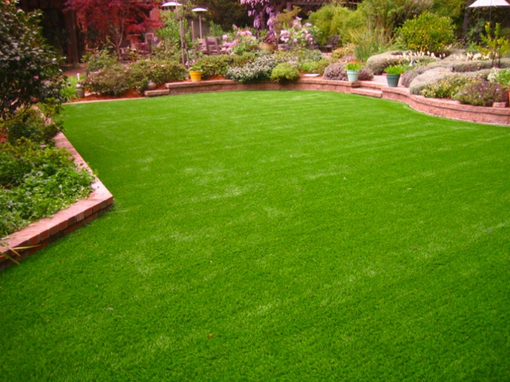 Artificial Turf Cost La Union, New Mexico Landscape Ideas, Small Backyard Ideas