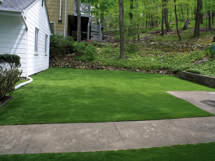 Artificial Turf Cost Sheep Springs, New Mexico Lawn And Garden, Front Yard Landscaping