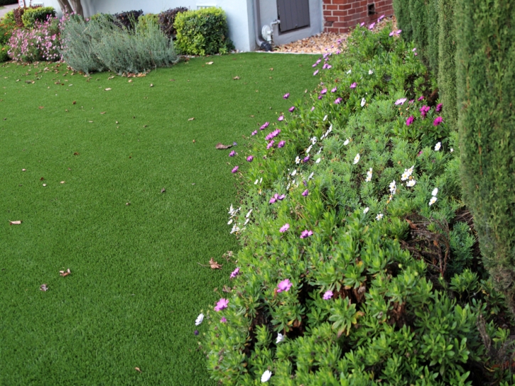 Artificial Turf Cost Spencerville, New Mexico Landscape Design, Landscaping Ideas For Front Yard