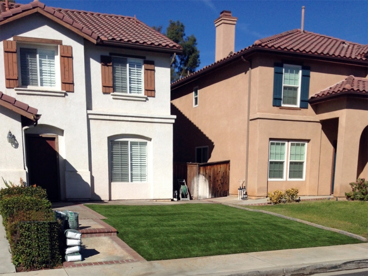 Artificial Turf Cost Springer, New Mexico Landscape Photos, Front Yard Ideas