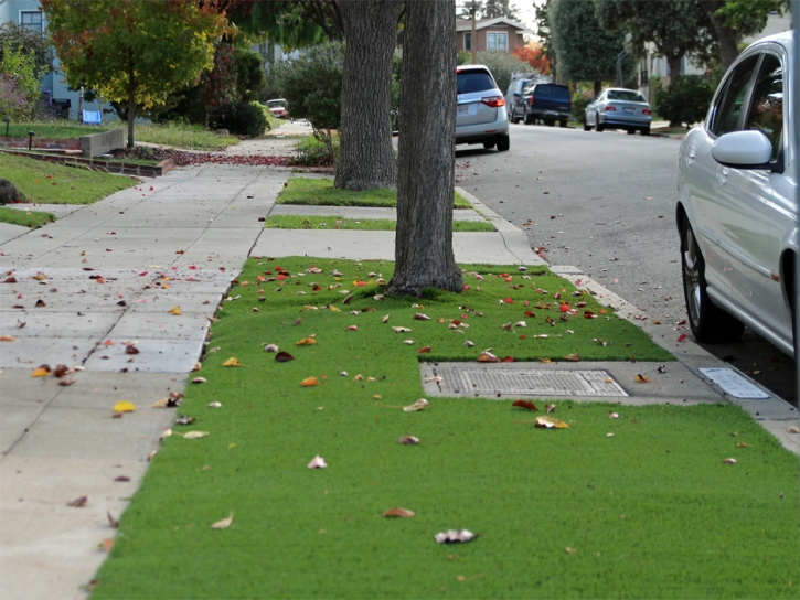 Artificial Turf Dulce, New Mexico Design Ideas, Front Yard Landscaping Ideas