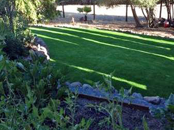 Artificial Turf Elida, New Mexico City Landscape, Backyard Landscaping