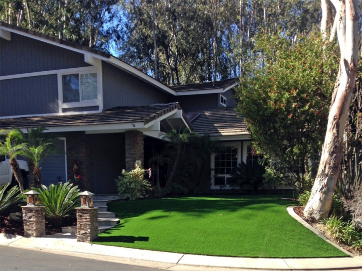 Artificial Turf Installation Cedar Hill, New Mexico Paver Patio, Front Yard Landscape Ideas