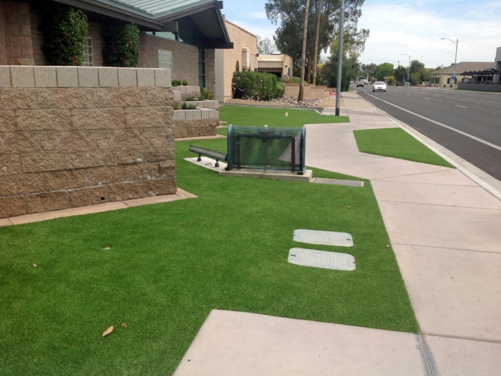 Artificial Turf McIntosh, New Mexico Design Ideas, Front Yard Ideas