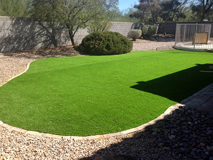 Artificial Turf North San Ysidro, New Mexico Landscape Design, Backyard Landscaping Ideas