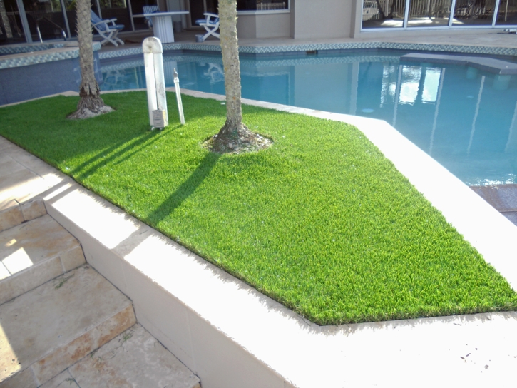 Artificial Turf San Ysidro, New Mexico Lawns, Backyard Landscaping