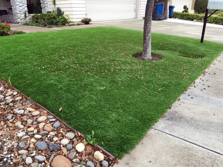 Artificial Turf Williamsburg, New Mexico Design Ideas, Small Front Yard Landscaping