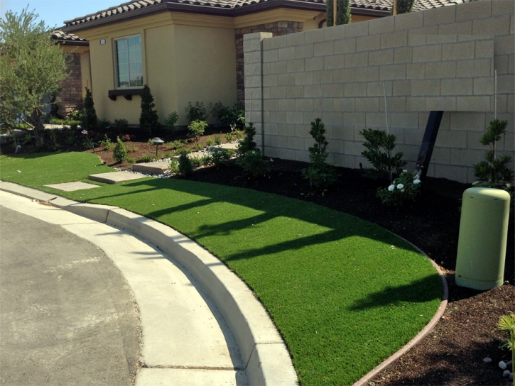 Best Artificial Grass Chilili, New Mexico Gardeners, Landscaping Ideas For Front Yard