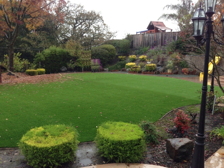 Best Artificial Grass East Pecos, New Mexico Lawns, Backyards