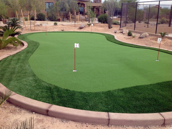 Best Artificial Grass Gila, New Mexico Putting Green Turf, Backyard Design