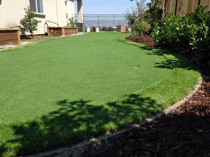 Best Artificial Grass Hernandez, New Mexico Roof Top, Backyard Landscaping Ideas