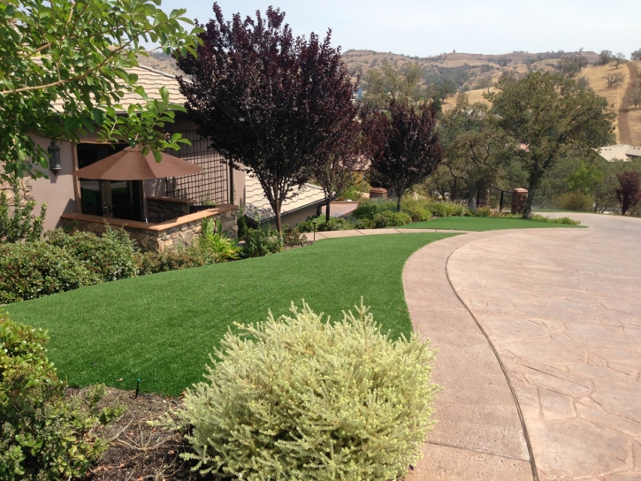 Best Artificial Grass Las Vegas, New Mexico City Landscape, Front Yard Landscaping Ideas