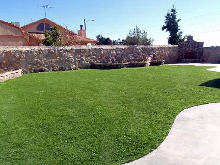 Best Artificial Grass Nakaibito, New Mexico Landscape Design, Backyard Makeover