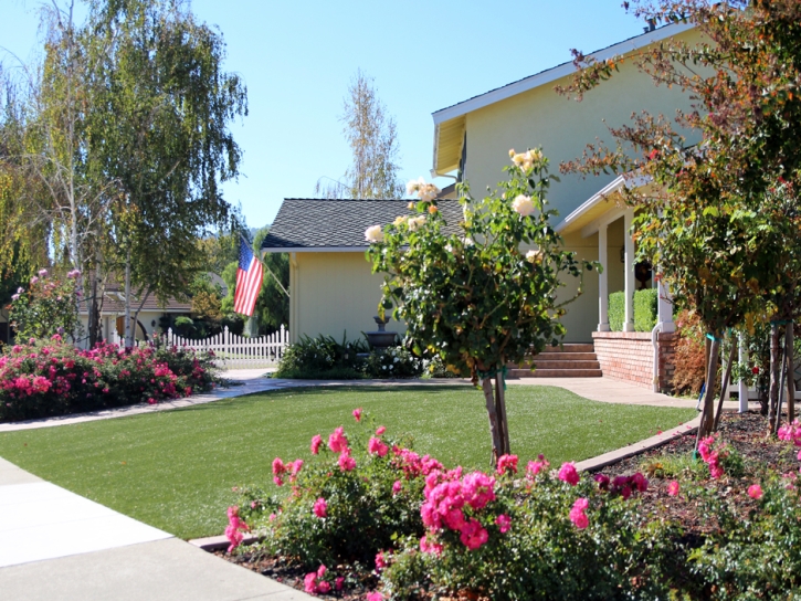 Best Artificial Grass Sedillo, New Mexico Landscape Design, Front Yard Design