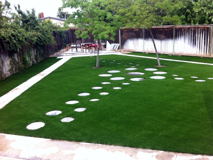 Fake Grass Alamo, New Mexico Rooftop, Backyard Landscaping