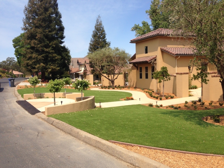 Fake Grass Carpet Canova, New Mexico Landscaping Business, Small Front Yard Landscaping